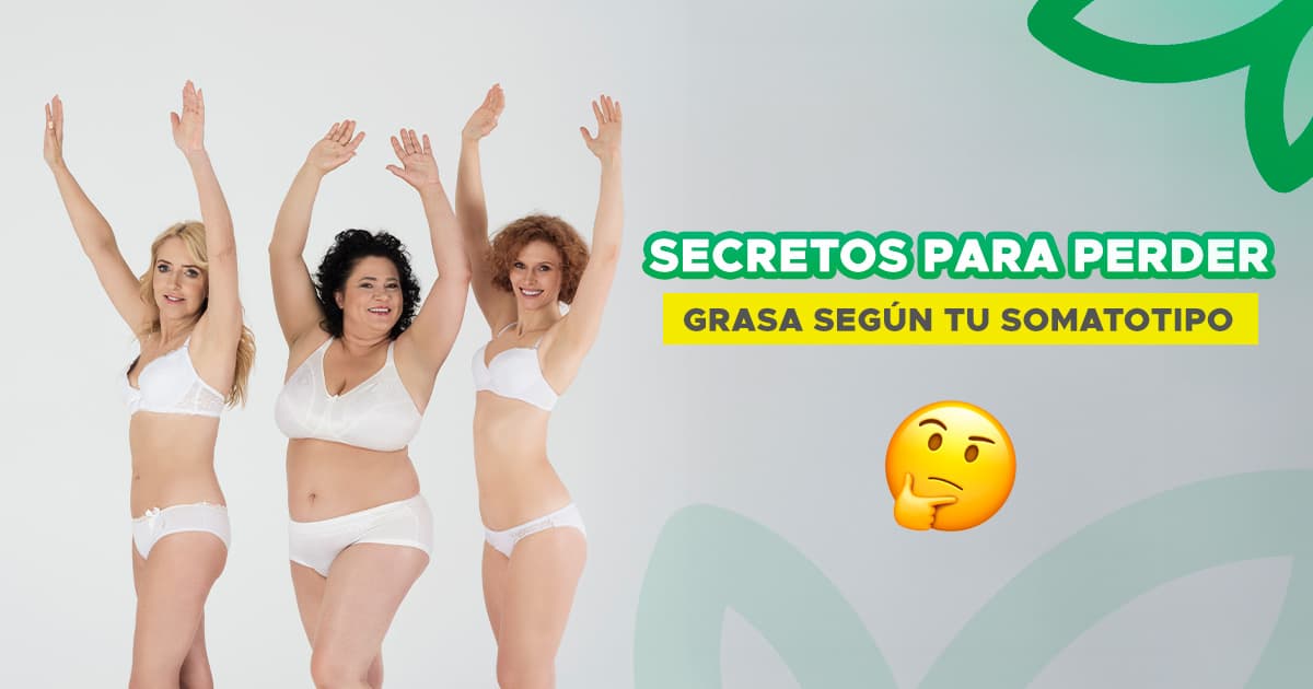 Secretos para perder grasa según tu somatotipo